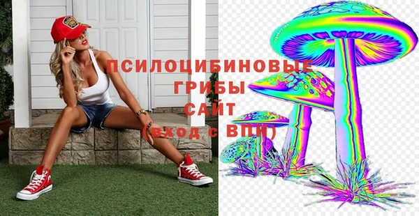 мдпв Балахна