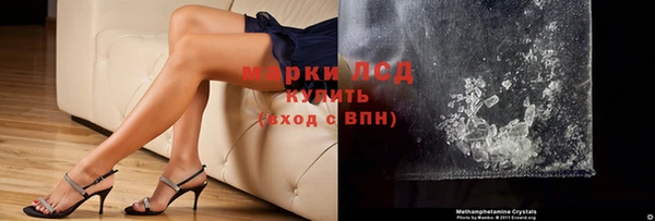 прущие грибы Баксан