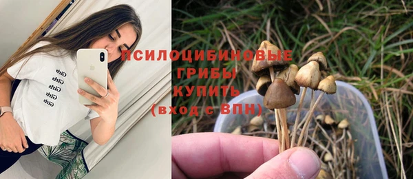 spice Осташков
